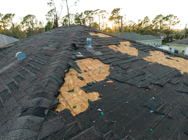 Best Roof Installation  in USA